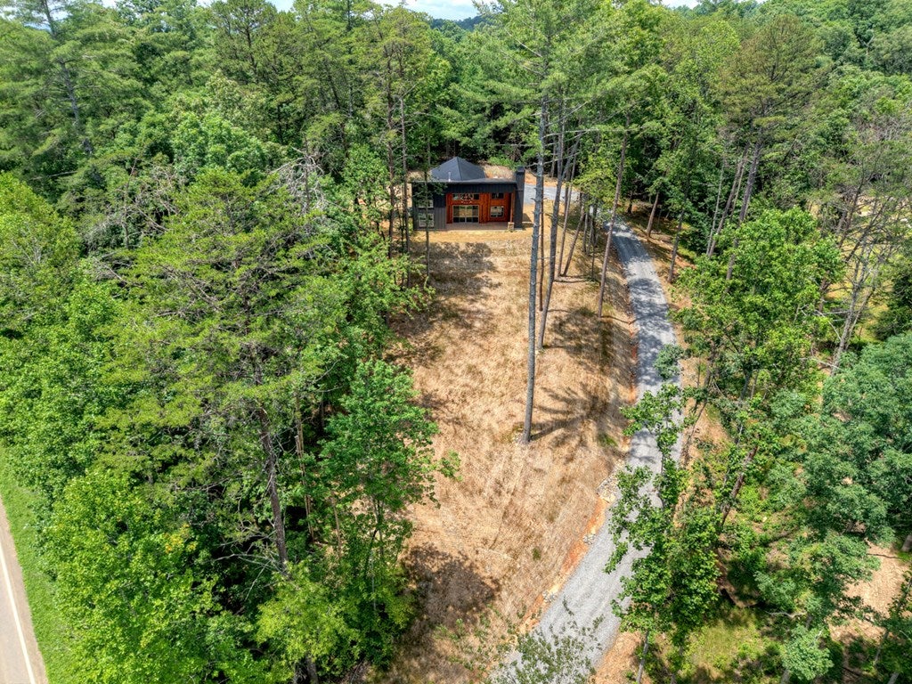 Mineral Bluff, Georgia, 30559, United States, 3 Bedrooms Bedrooms, ,3 BathroomsBathrooms,Residential,For Sale,1871294