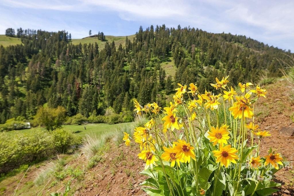 Riggins, Idaho, 83549, United States, 2 Bedrooms Bedrooms, ,1 BathroomBathrooms,Residential,For Sale,1826044