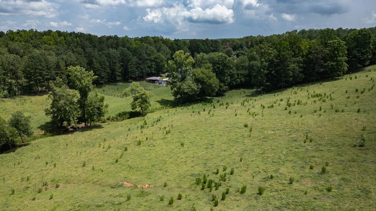 Heflin, Alabama, 36264, United States, ,Land,For Sale,1981342