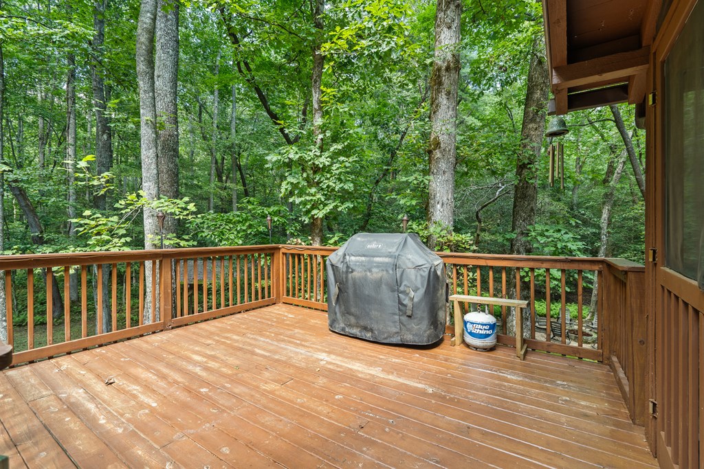 Blue Ridge, Georgia, 30513, United States, 3 Bedrooms Bedrooms, ,2 BathroomsBathrooms,Residential,For Sale,1914243