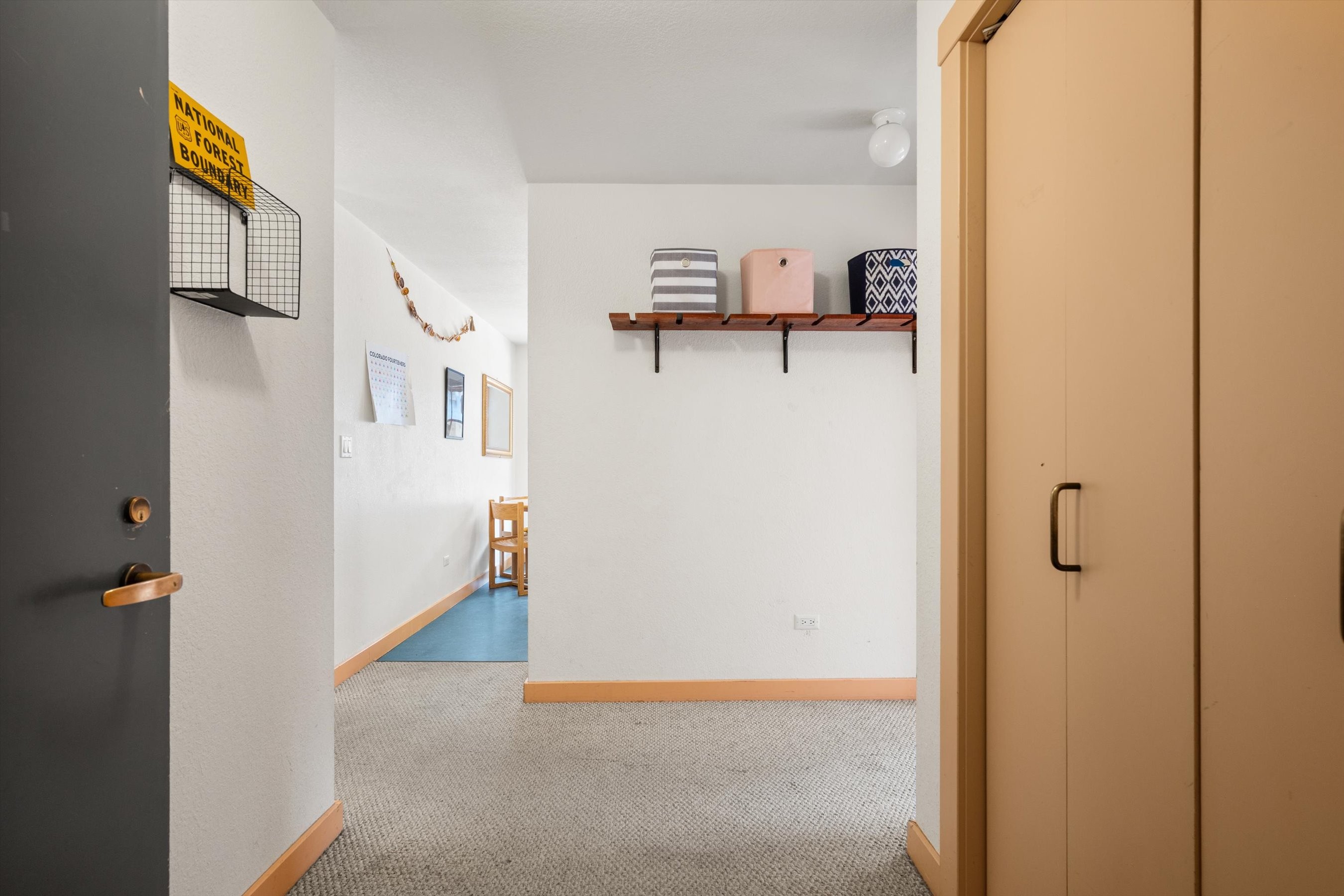  115 Boomerang Road, Aspen, CO, 81611 - 物件實景