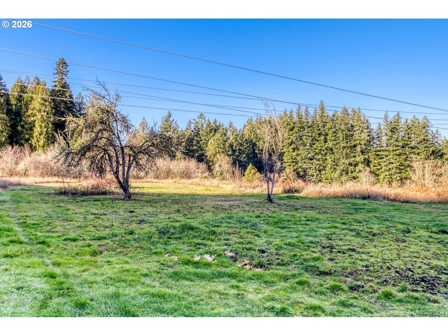 Oregoncity, Oregon, 97045, United States, 4 Bedrooms Bedrooms, ,3 BathroomsBathrooms,Residential,For Sale,1982057