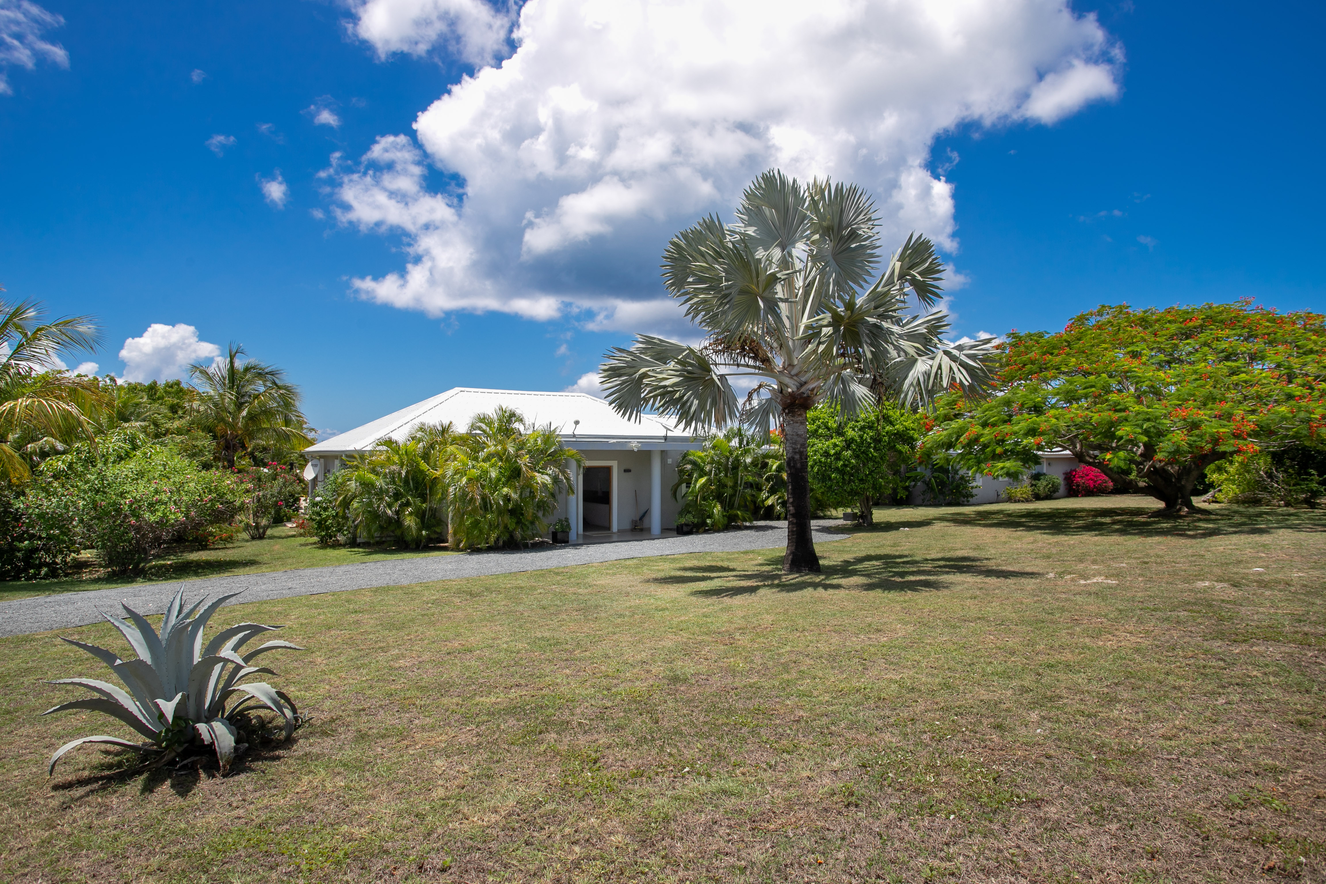  3 bedroom Villa with 2 bedroom Guesthouse - 物件實景