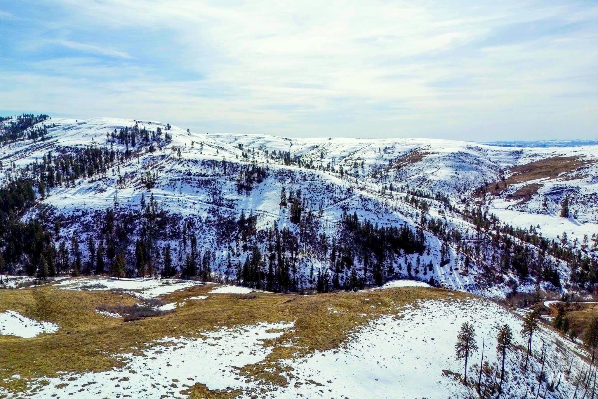 Council, Idaho, 83612, United States, ,Residential,For Sale,1921921