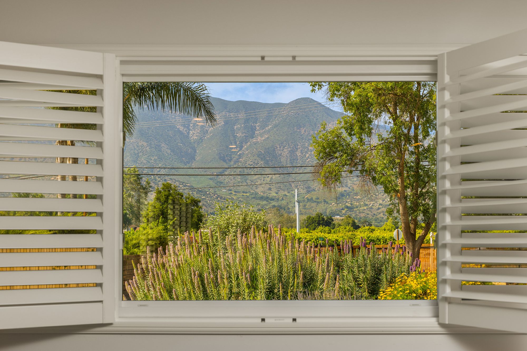  1994 East Ojai Avenue, Ojai, CA 93023 - 物件實景