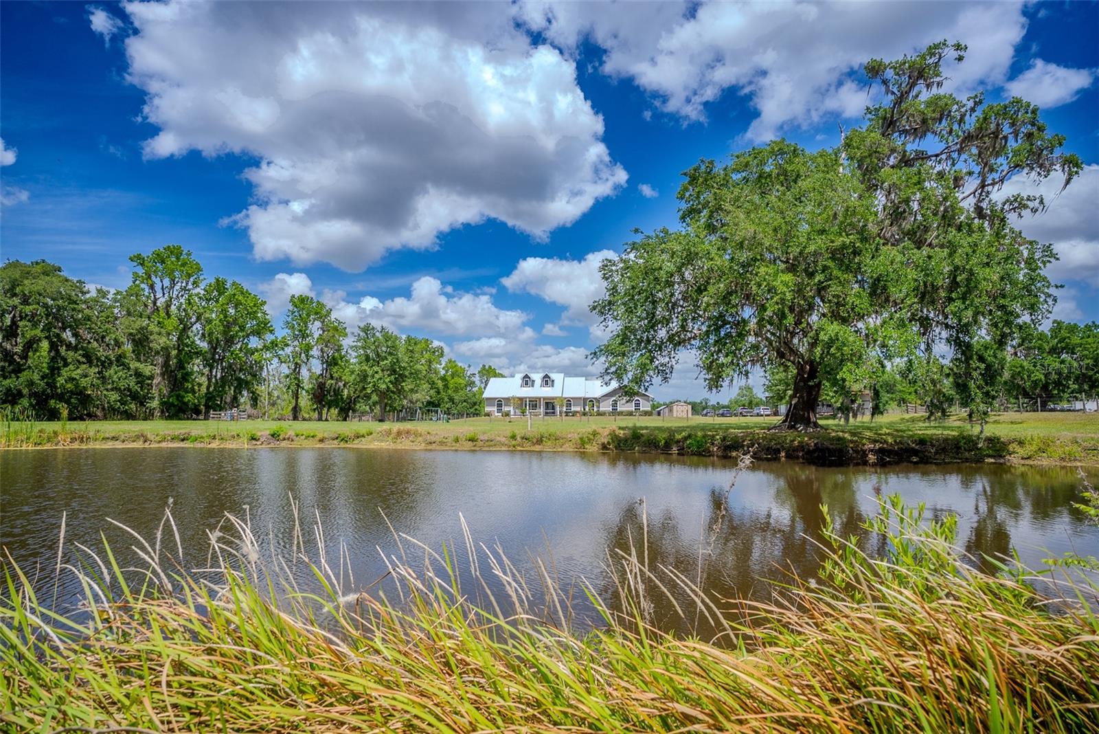 GROVELAND, Florida, 34736, United States, 4 Bedrooms Bedrooms, ,3 BathroomsBathrooms,Residential,For Sale,1759294