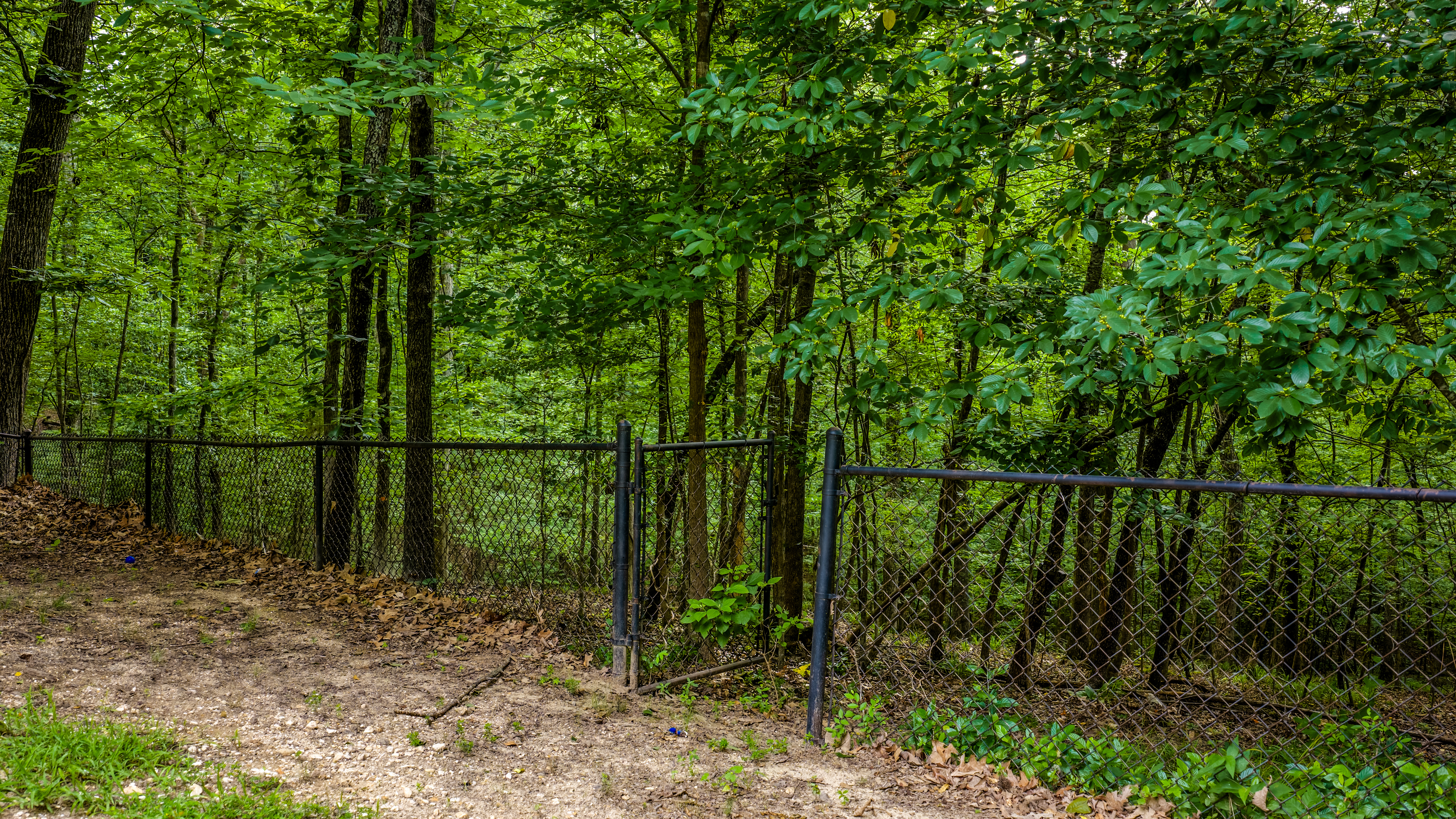  1172 Rocky Mountain, Benton, AR, 72019 - 物件實景