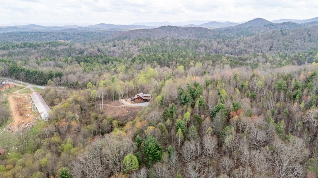 Blue Ridge, Georgia, 30513, United States, 4 Bedrooms Bedrooms, ,3 BathroomsBathrooms,Residential,For Sale,1762405