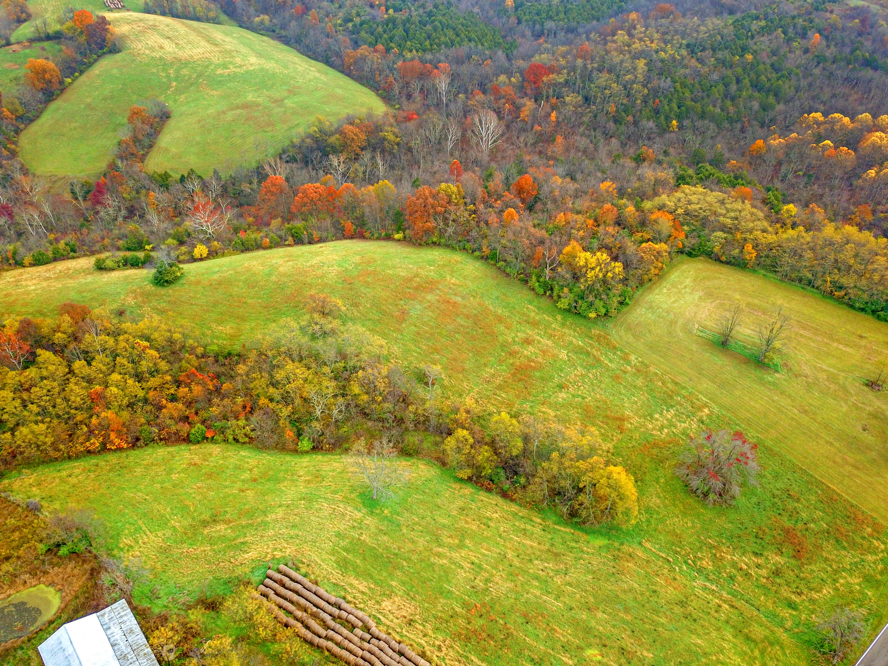 Williamstown, Kentucky, 41097, United States, ,Land,For Sale,1995668