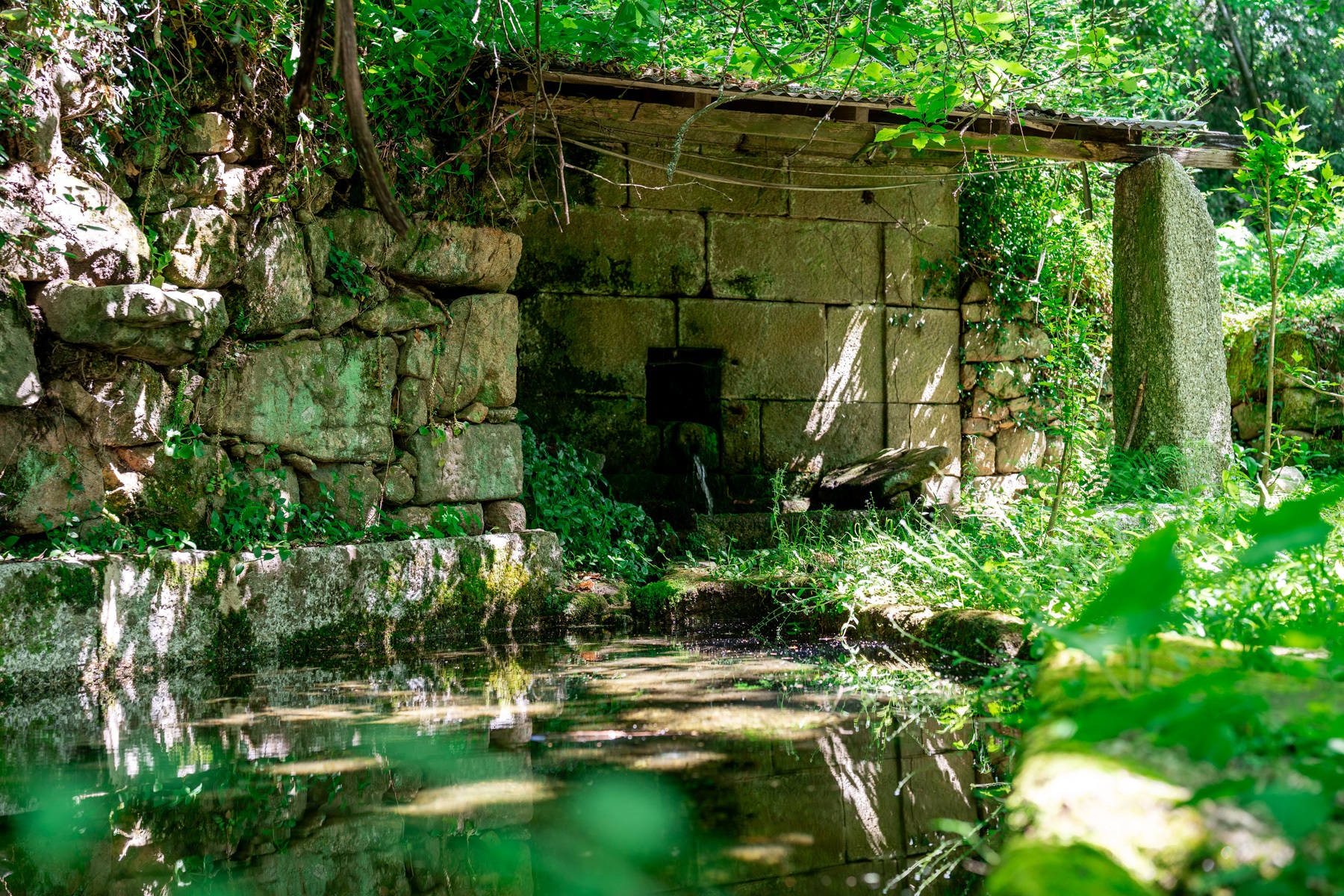  Farm for Sale - 物件實景