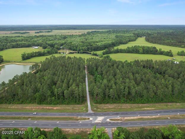 Vernon, Florida, 32462, United States, ,Residential,For Sale,1795705