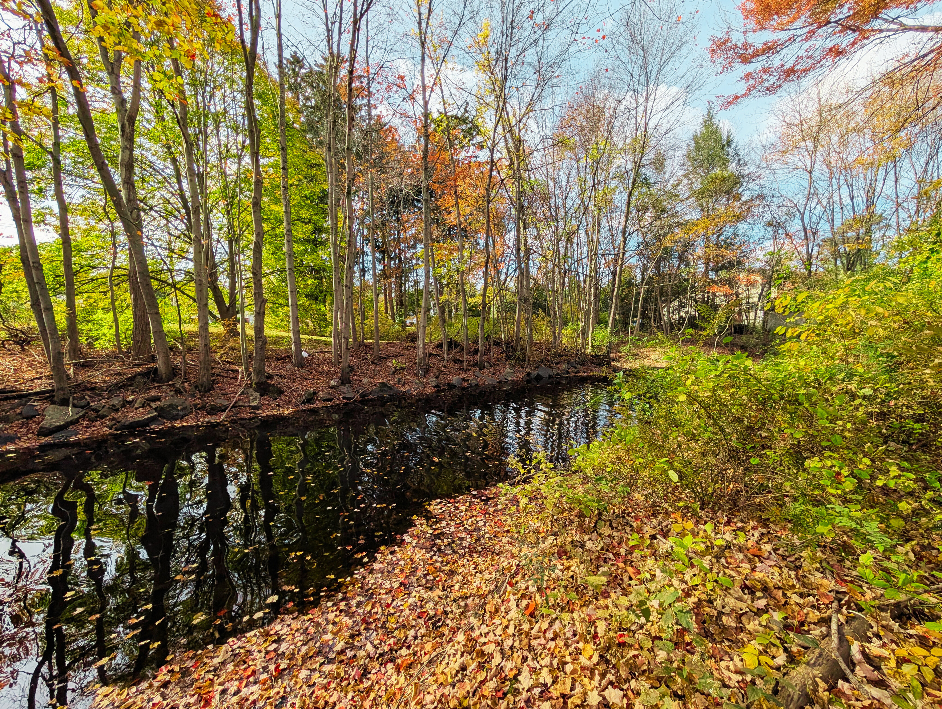 Shelton, Connecticut, 06484, United States, 3 Bedrooms Bedrooms, ,2 BathroomsBathrooms,Residential,For Sale,1996046