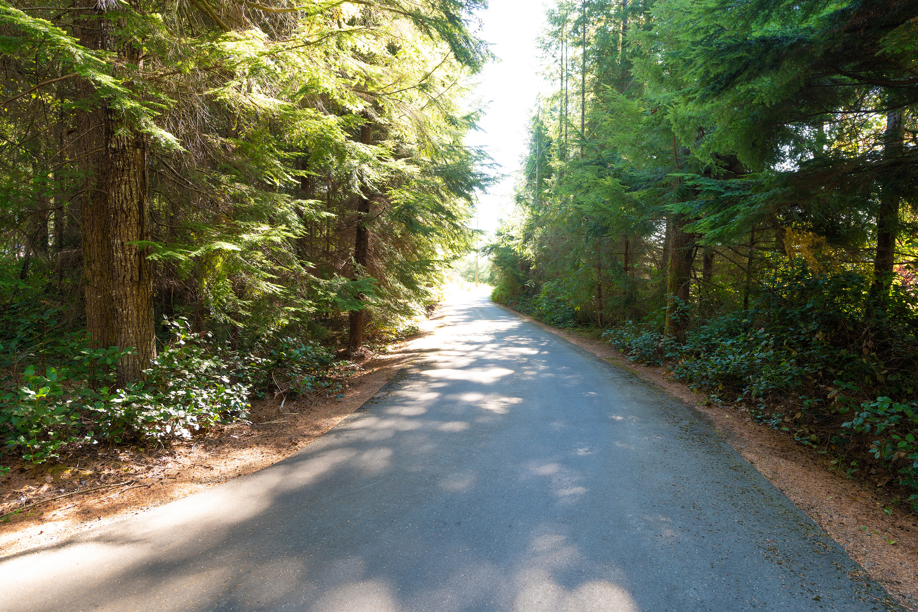  Private Forest Estate - 物件實景