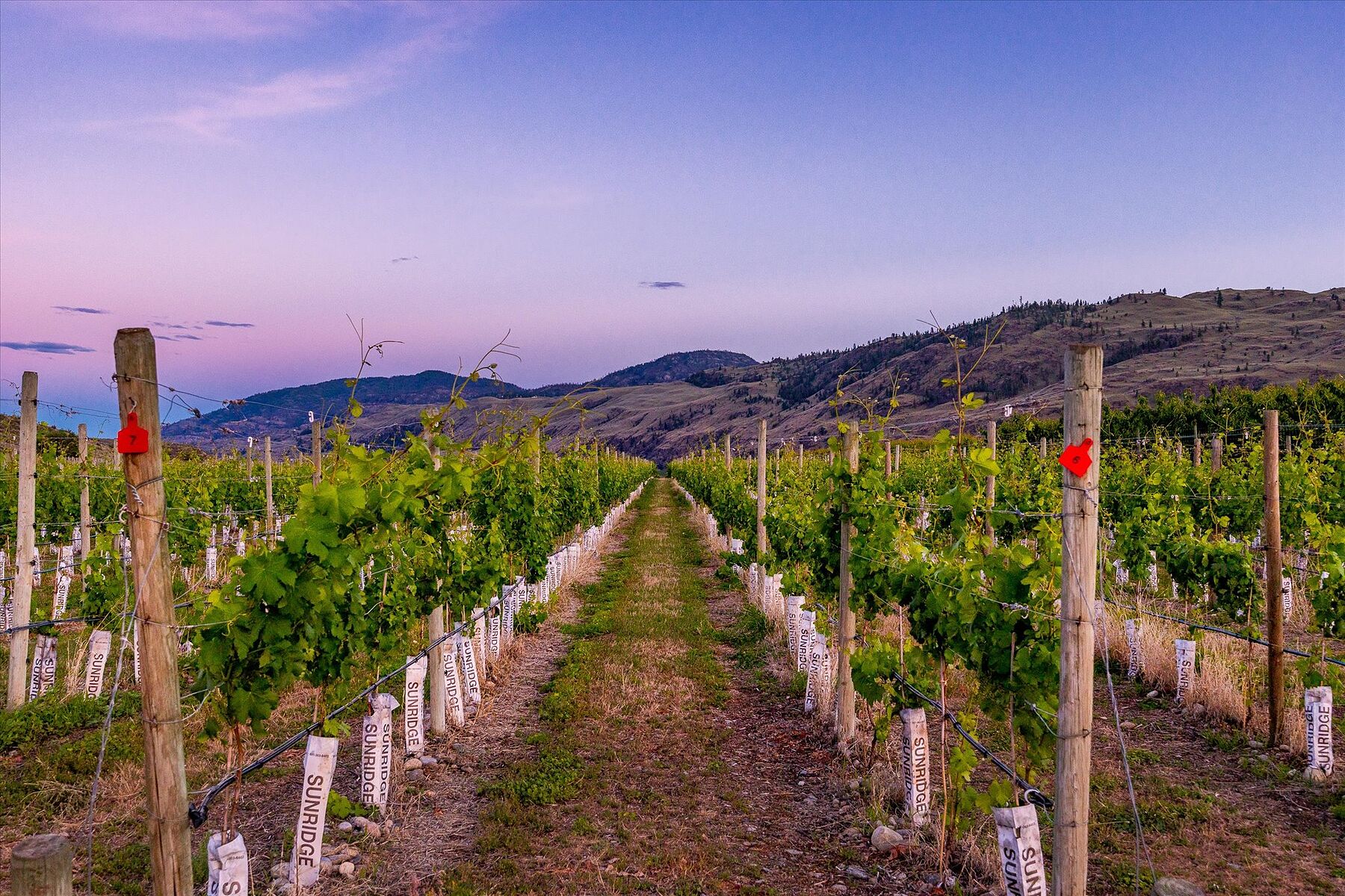  Oliver Winery Opportunity - 物件實景