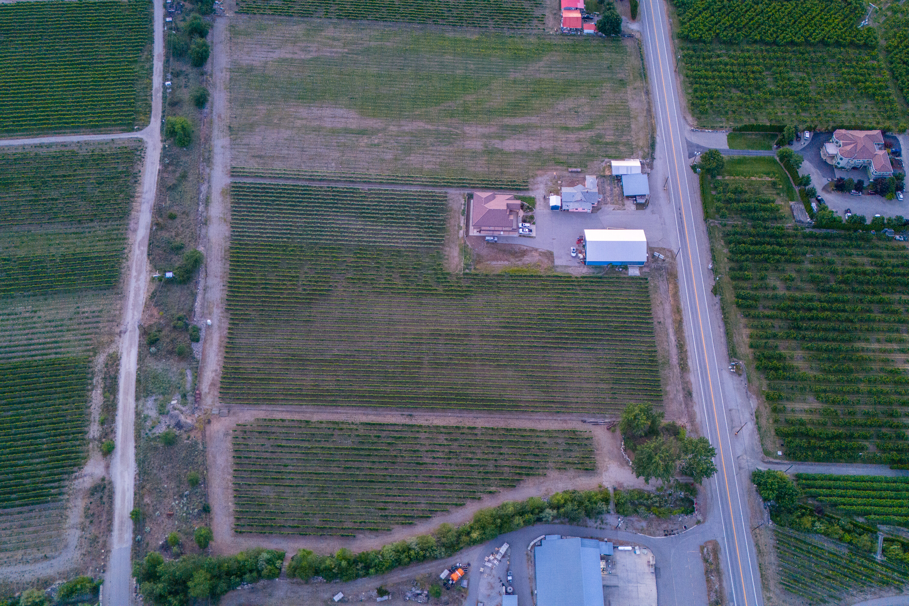  Vineyard Estate Receivership - 物件實景