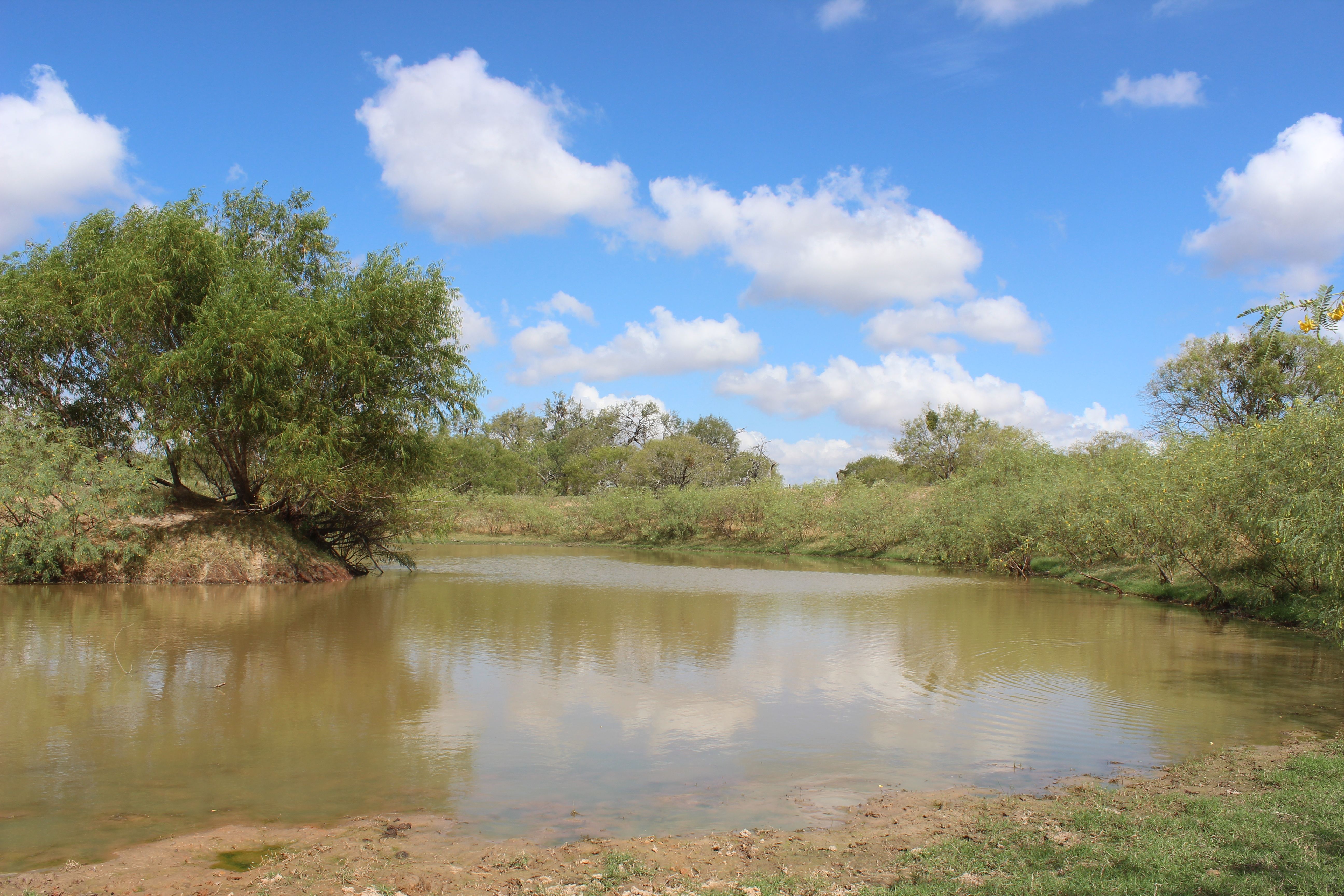  398+/- Acre Grass Pond Colony Ranch - 物件實景