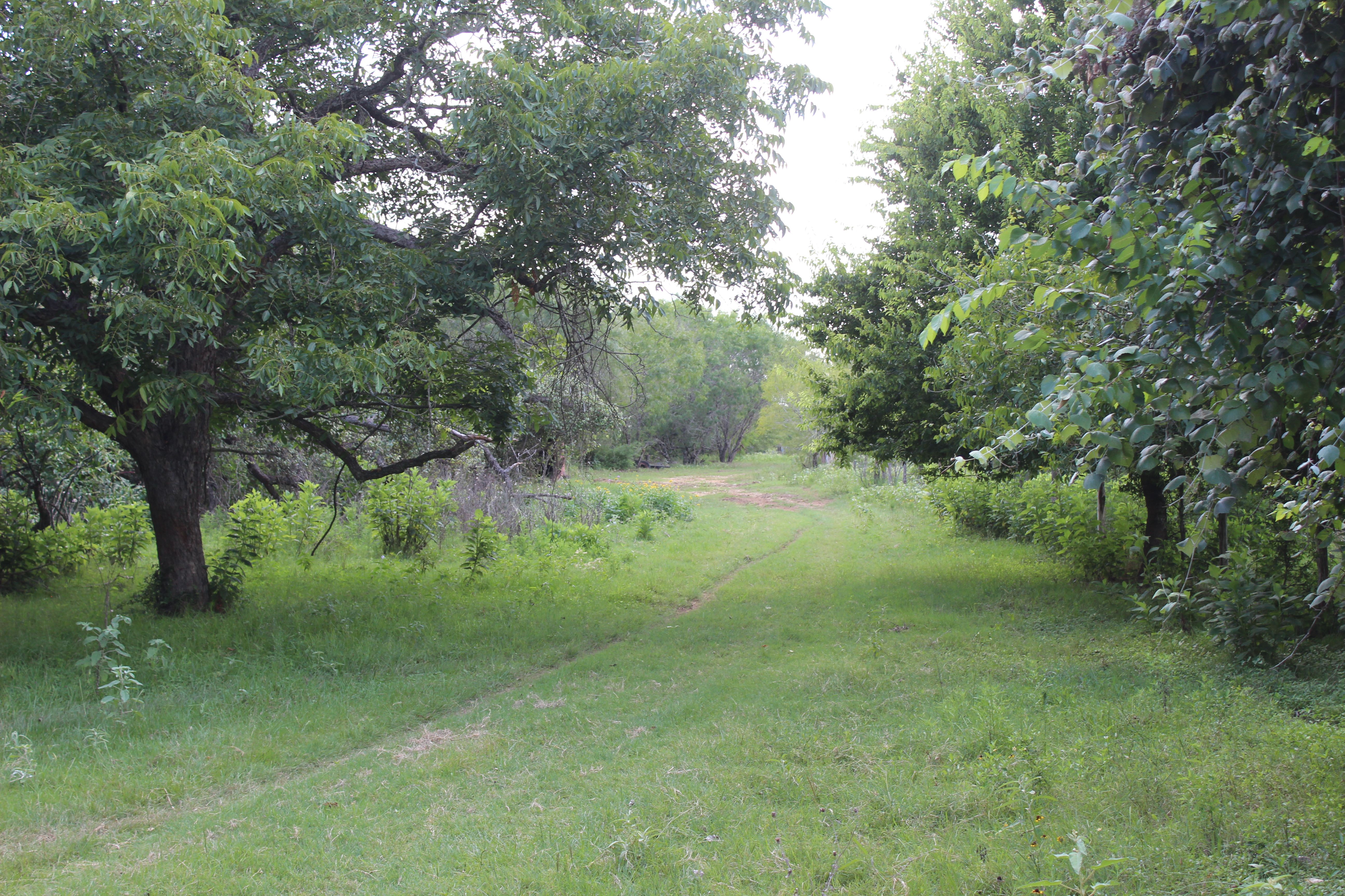  Buck Branch Ranch - 物件實景