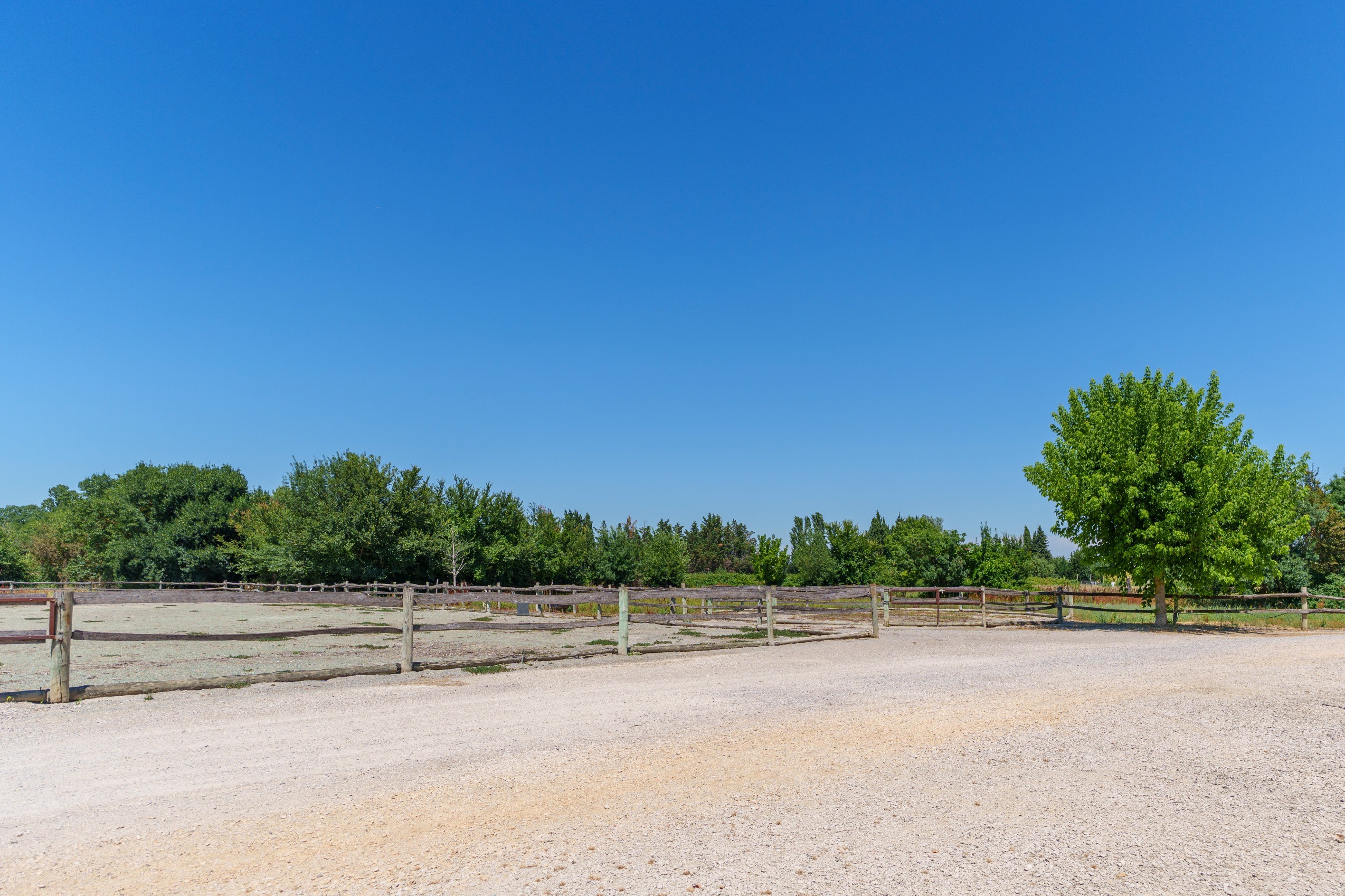  Charming Equestrian Estate on the Edge of the Mediterranean - 物件實景