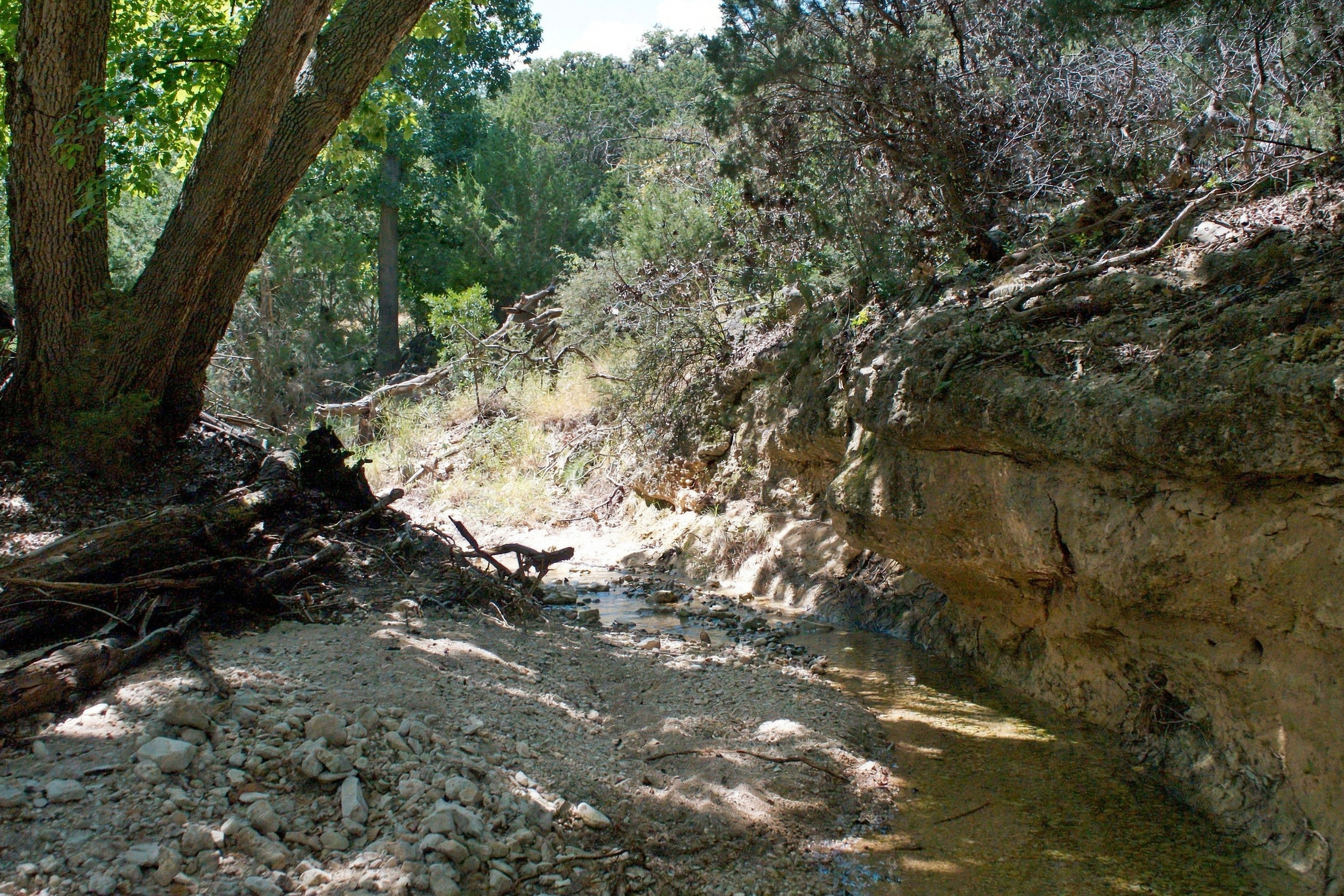  985+/- Acre 12 Springs Ranch - 物件實景