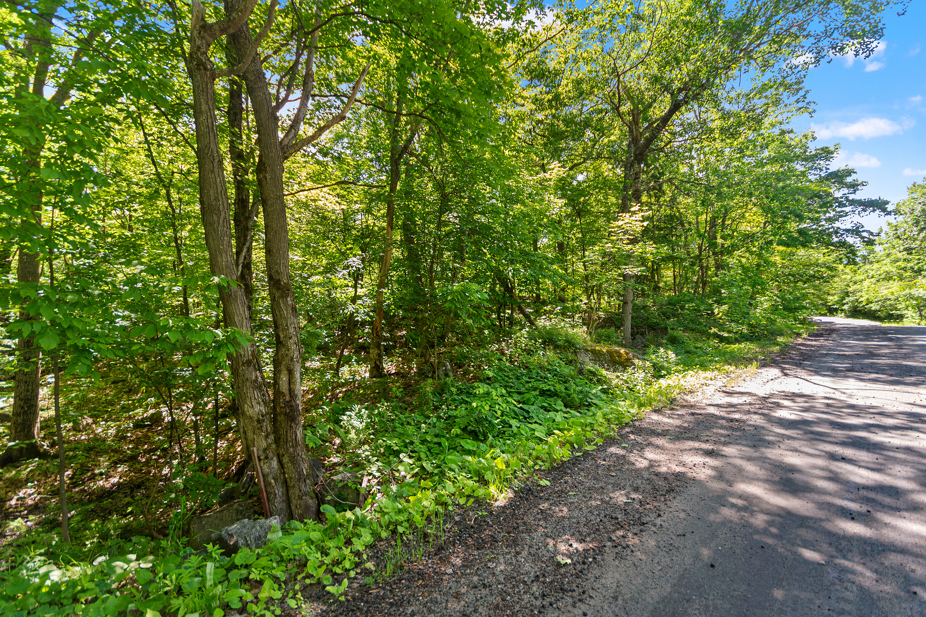  Parry Sound Area Building Lot - 物件實景