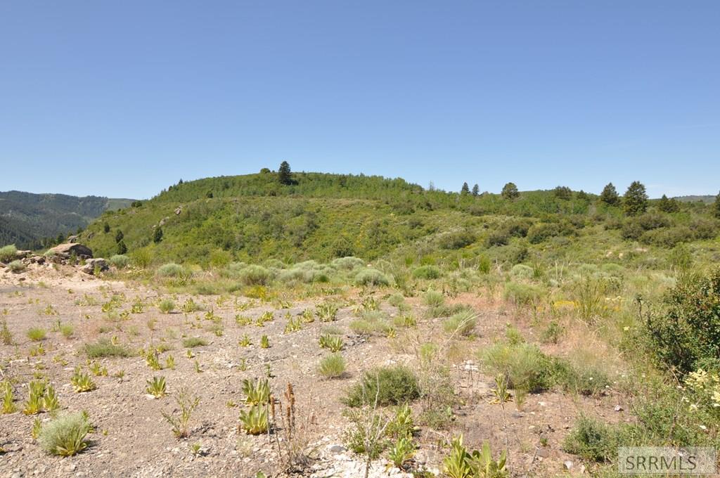 SWAN VALLEY, Idaho, 83449, United States, ,Land,For Sale,1982720