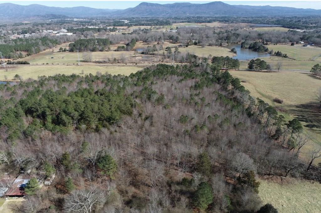 CHATSWORTH, Georgia, 30705, United States, ,Residential,For Sale,1986542