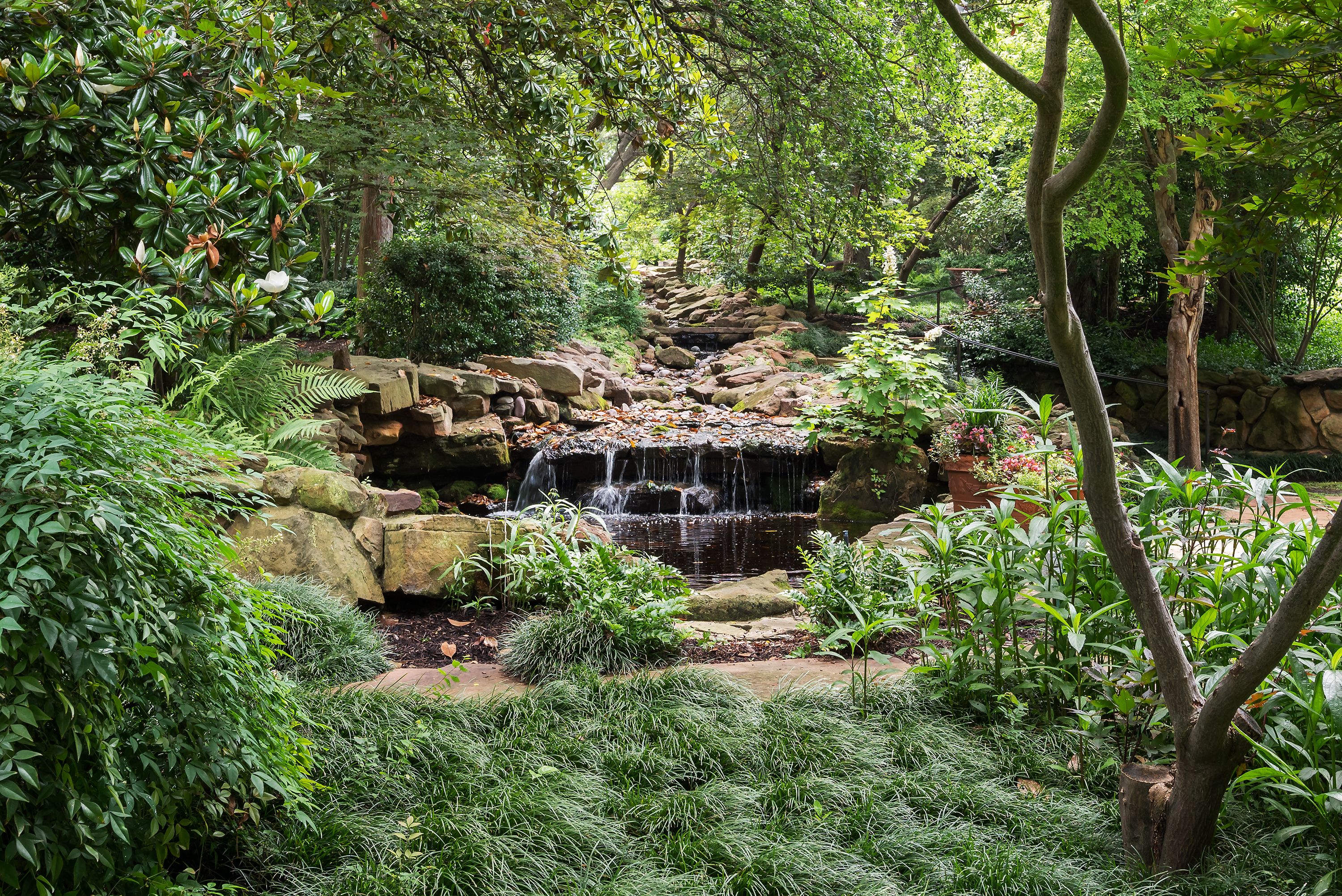  Comfortable, Classic Country French Living in the Heart of Dallas - 物件實景