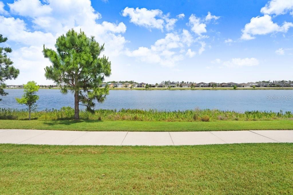 Lutz, Florida, 33558, United States, 5 Bedrooms Bedrooms, ,3 BathroomsBathrooms,Residential,For Sale,1784935