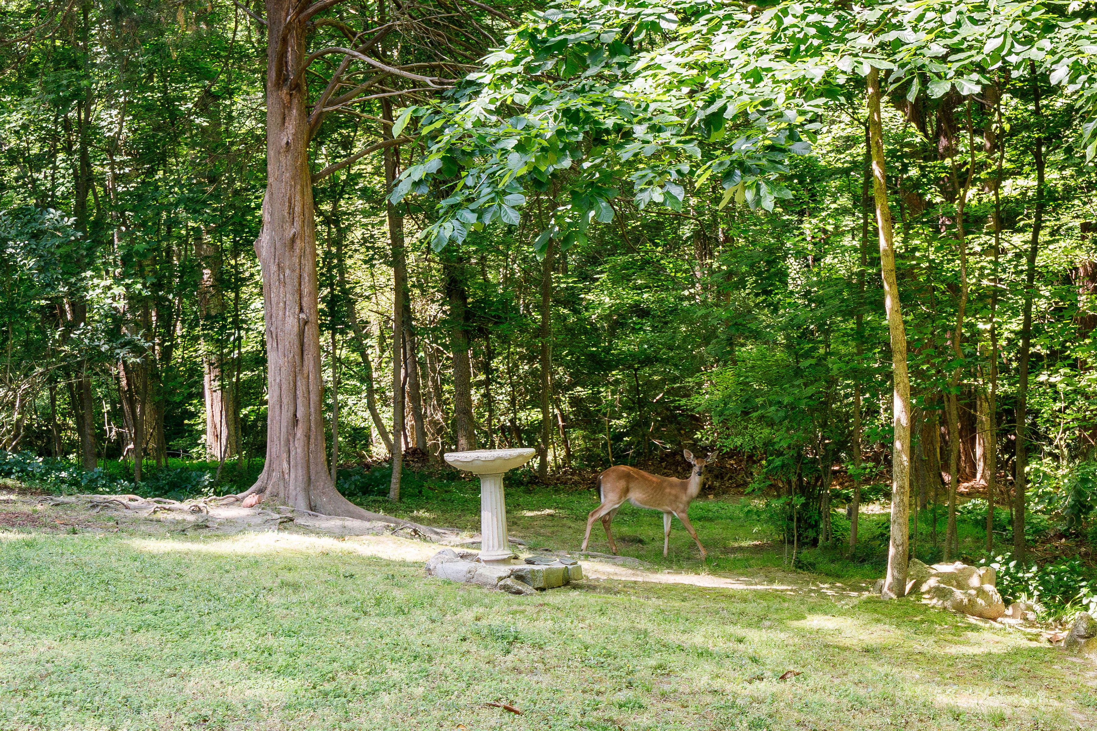 3740 Hastings Drive, Richmond, VA 23235 - 物件實景