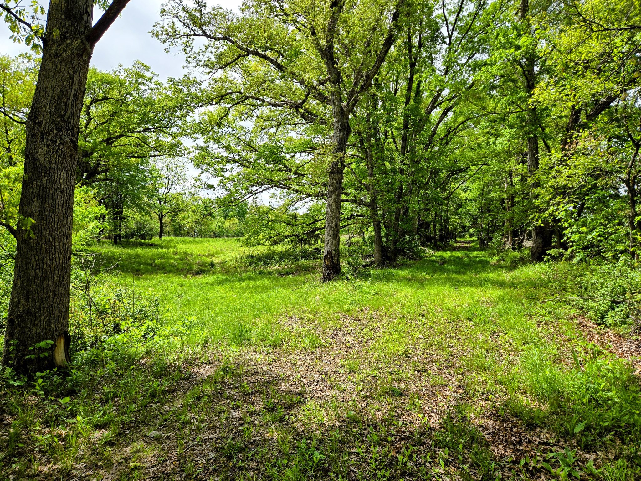 Center, Missouri, 63436, United States, 3 Bedrooms Bedrooms, ,1 BathroomBathrooms,Residential,For Sale,2043606