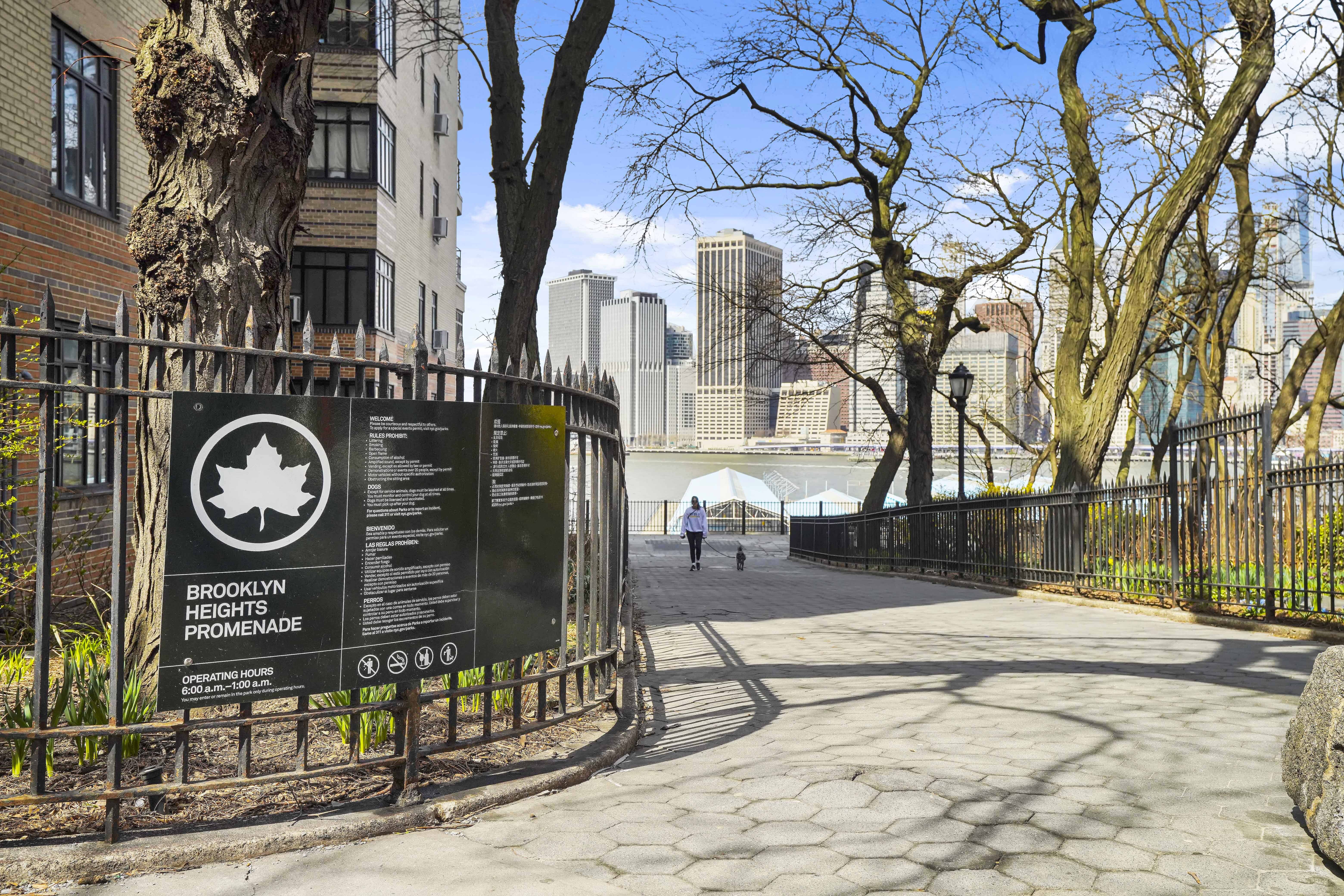  115 Willow St. 5f, Brooklyn, NY, 11201 - 物件實景