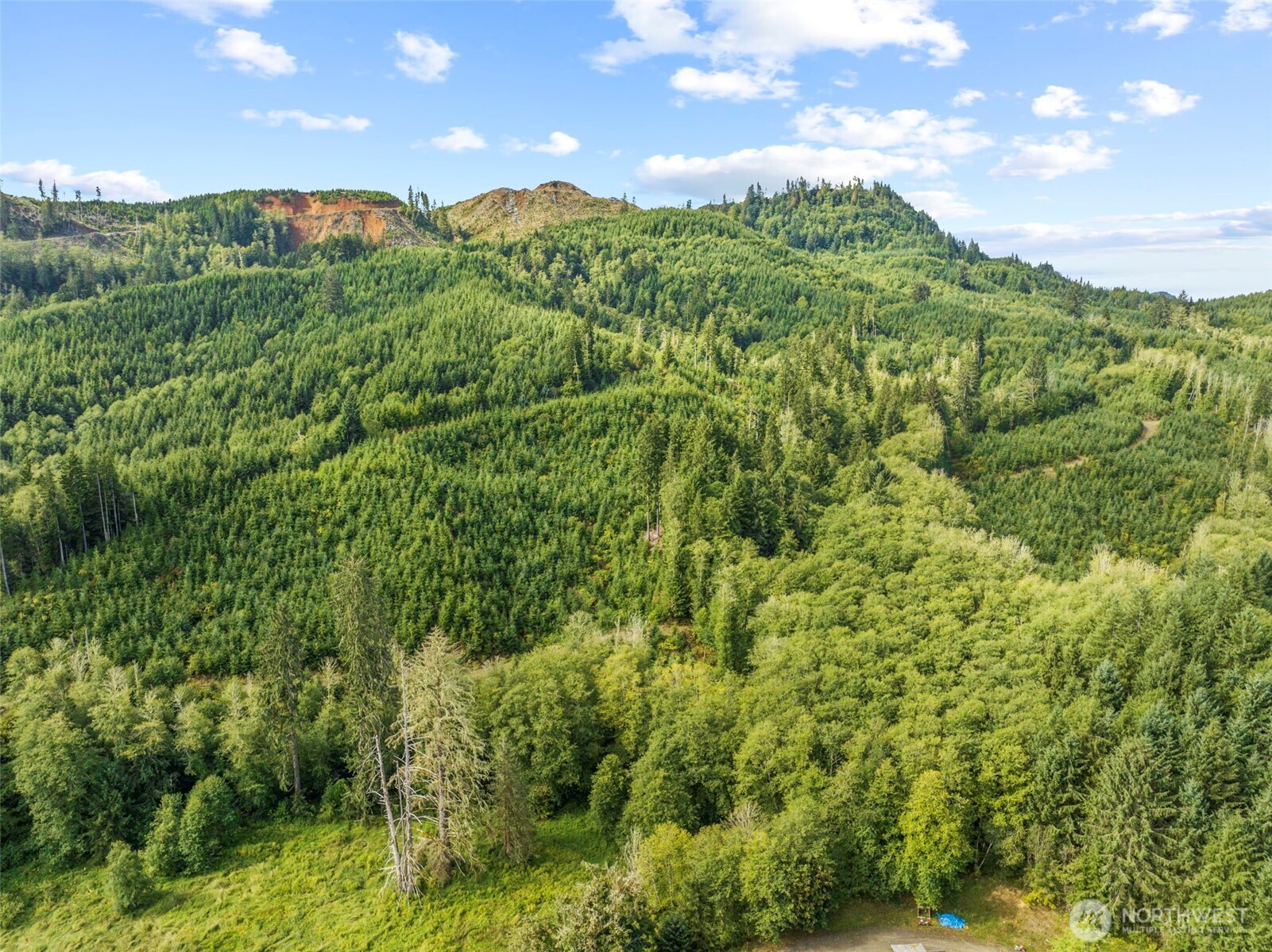 Skamokawa, Washington, 98647, United States, ,Land,For Sale,1903291