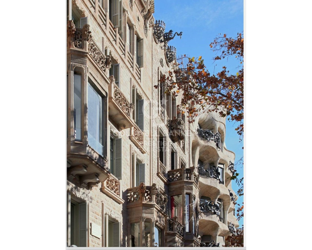 Barcelona, Barcelona, Eixample, La Dreta de l'Eix, Barcelona, Catalonia, ES, 5 Bedrooms Bedrooms, ,5 BathroomsBathrooms,Residential,For Sale,Barcelona, Barcelona, Eixample, La Dreta de l'Eix,1676364