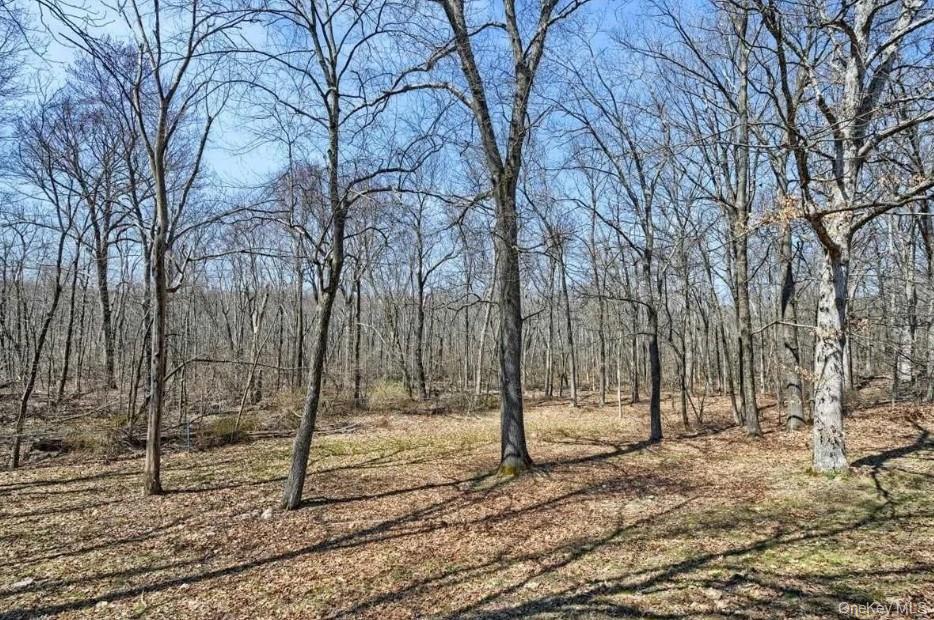 Wappingers Falls, New York, 12590, United States, 3 Bedrooms Bedrooms, ,4 BathroomsBathrooms,Residential,For Sale,1998692