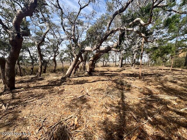 Supply, North Carolina, 28462, United States, ,Land,For Sale,1743684