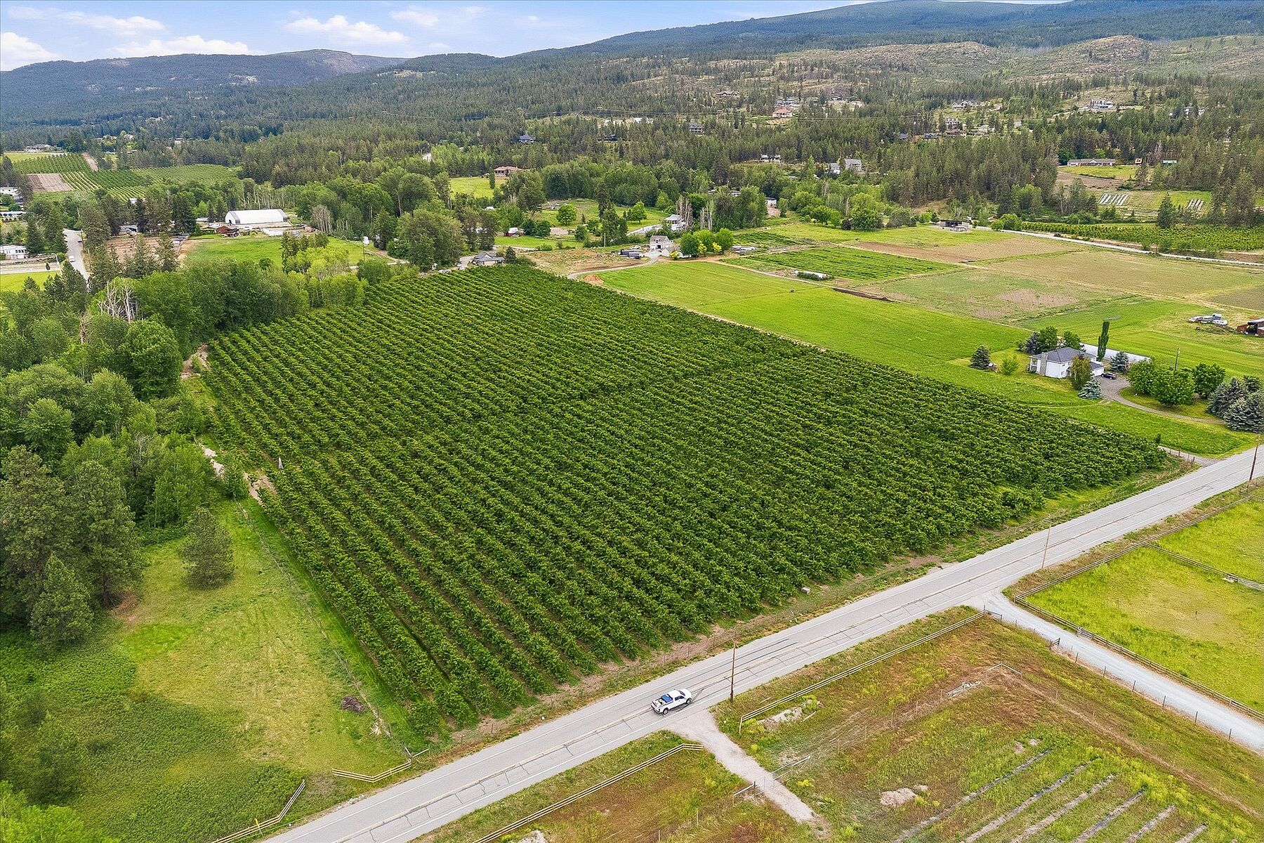  17.66 Acre Cherry Orchard - 物件實景