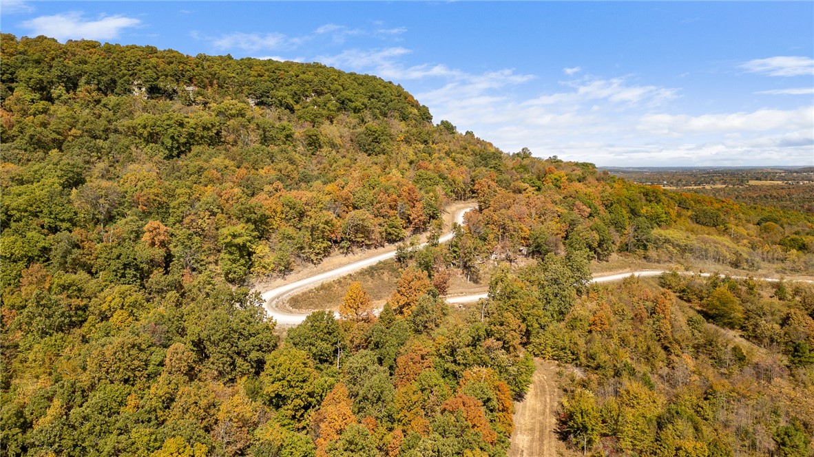 Harrison, Arkansas, 72601, United States, ,Land,For Sale,1903460