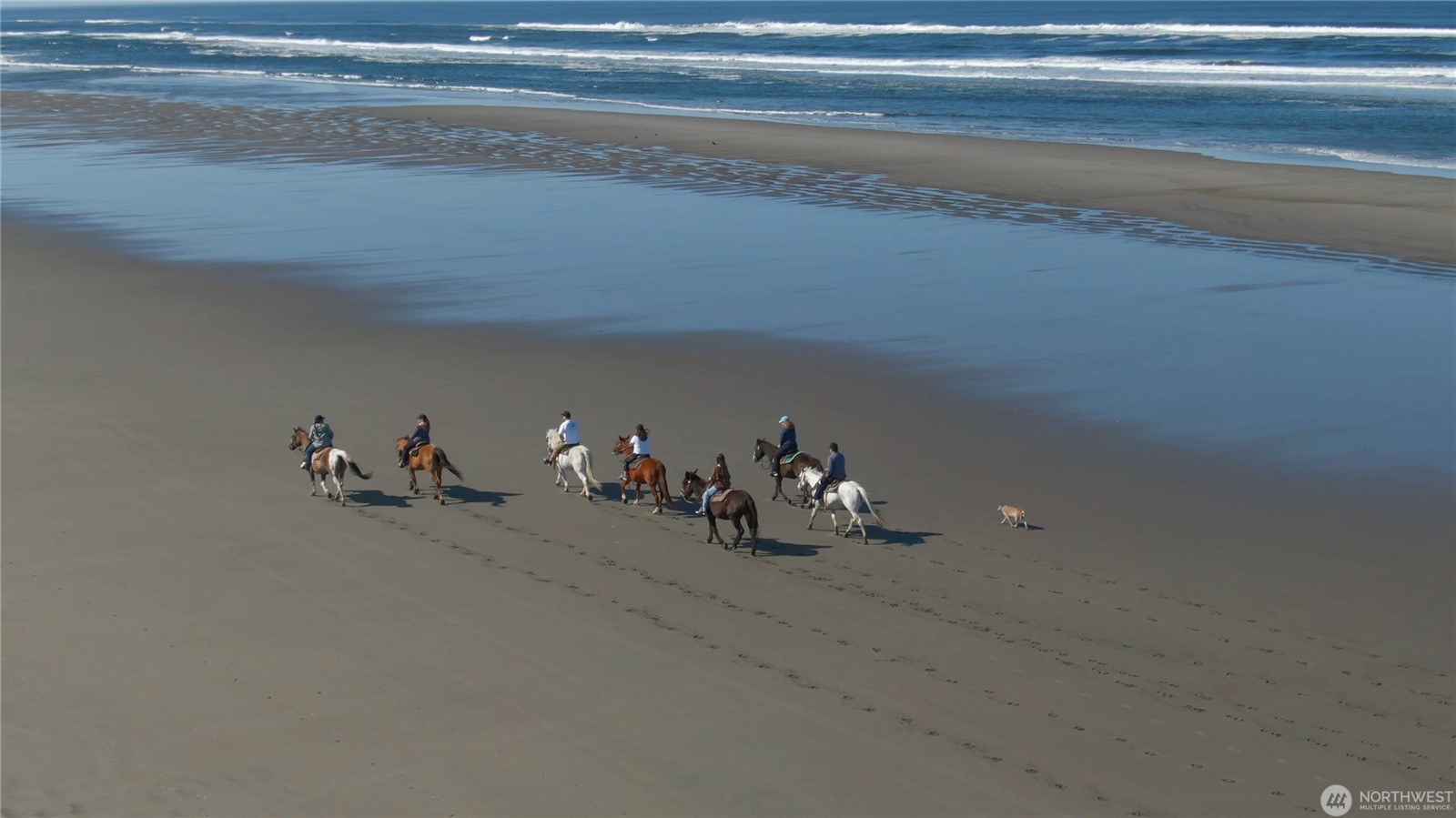 Long Beach, Washington, 98631, United States, ,Land,For Sale,1984354