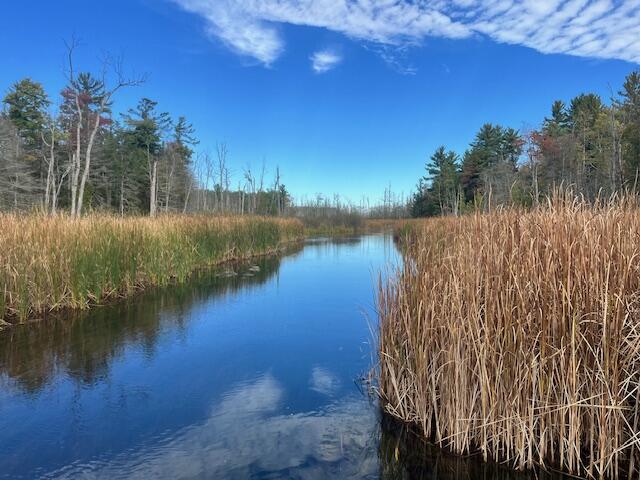 Branch, Michigan, 49402, United States, 5 Bedrooms Bedrooms, ,4 BathroomsBathrooms,Residential,For Sale,1986273