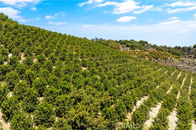 Temecula, California, 92590, United States, ,Land,For Sale,1988862