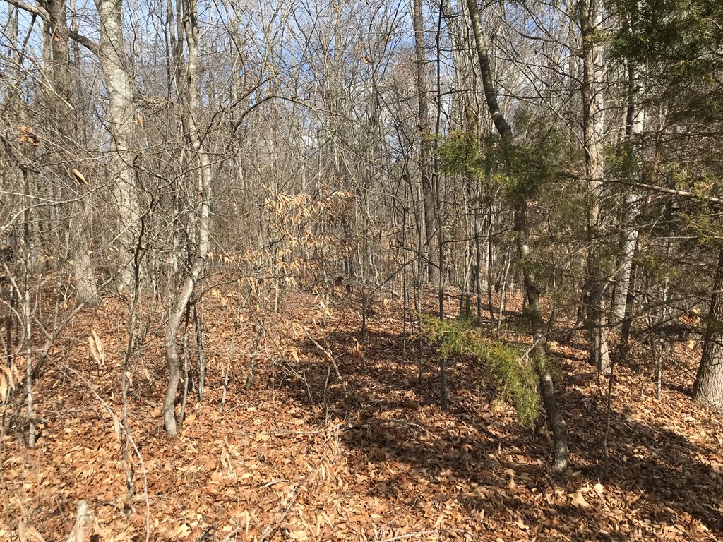 White Pine, Tennessee, 37890, United States, ,Residential,For Sale,1887225