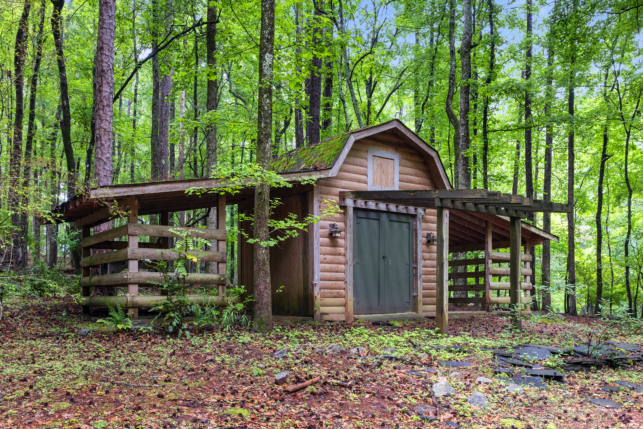  Charming, Private Cabin Overlooking Lake Coweta - 物件實景