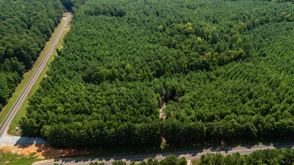 Hamilton, Georgia, 31811, United States, ,Land,For Sale,1919731