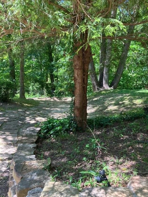 Young Harris, Georgia, 30582, United States, 3 Bedrooms Bedrooms, ,3 BathroomsBathrooms,Residential,For Sale,1915067