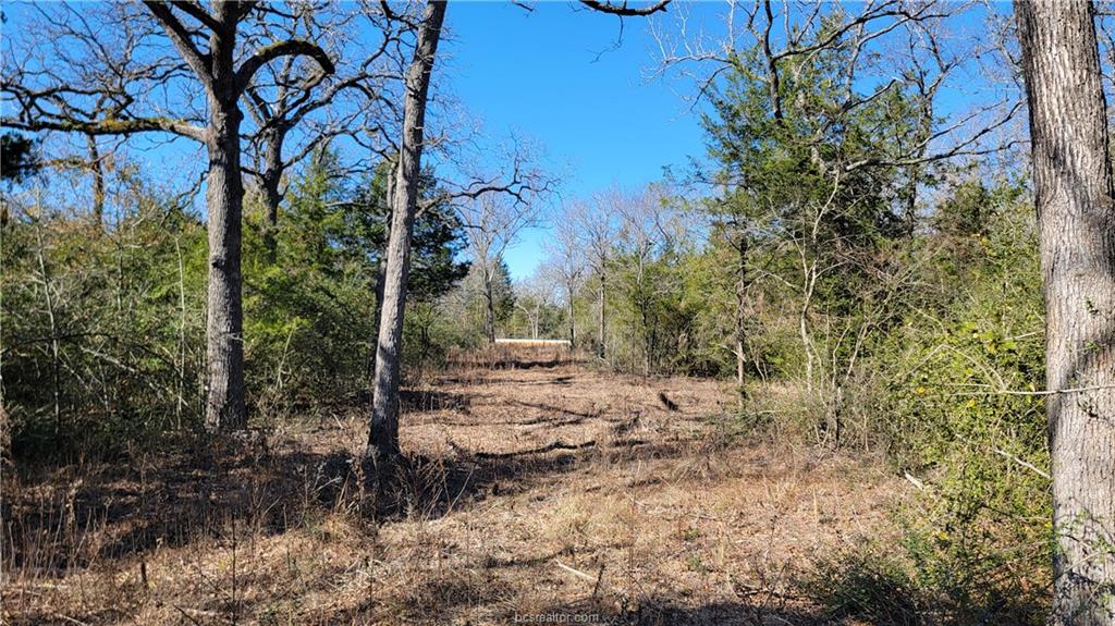 Franklin, Texas, 77856, United States, 6 Bedrooms Bedrooms, ,5 BathroomsBathrooms,Residential,For Sale,1701254
