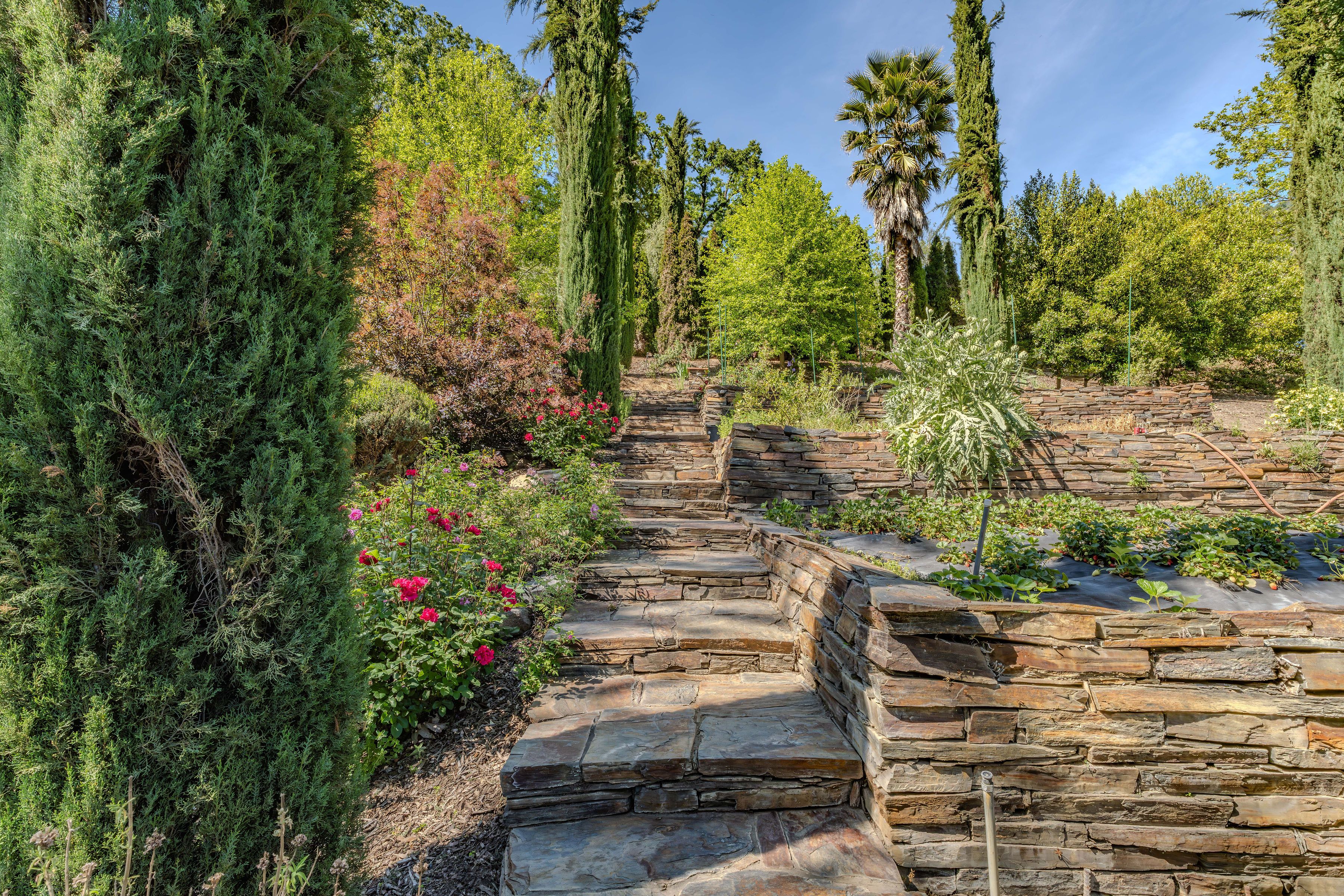  Horizon Canyon  Private 41-Acre Riverfront Estate Between Sacramento & Lake Tah - 物件實景