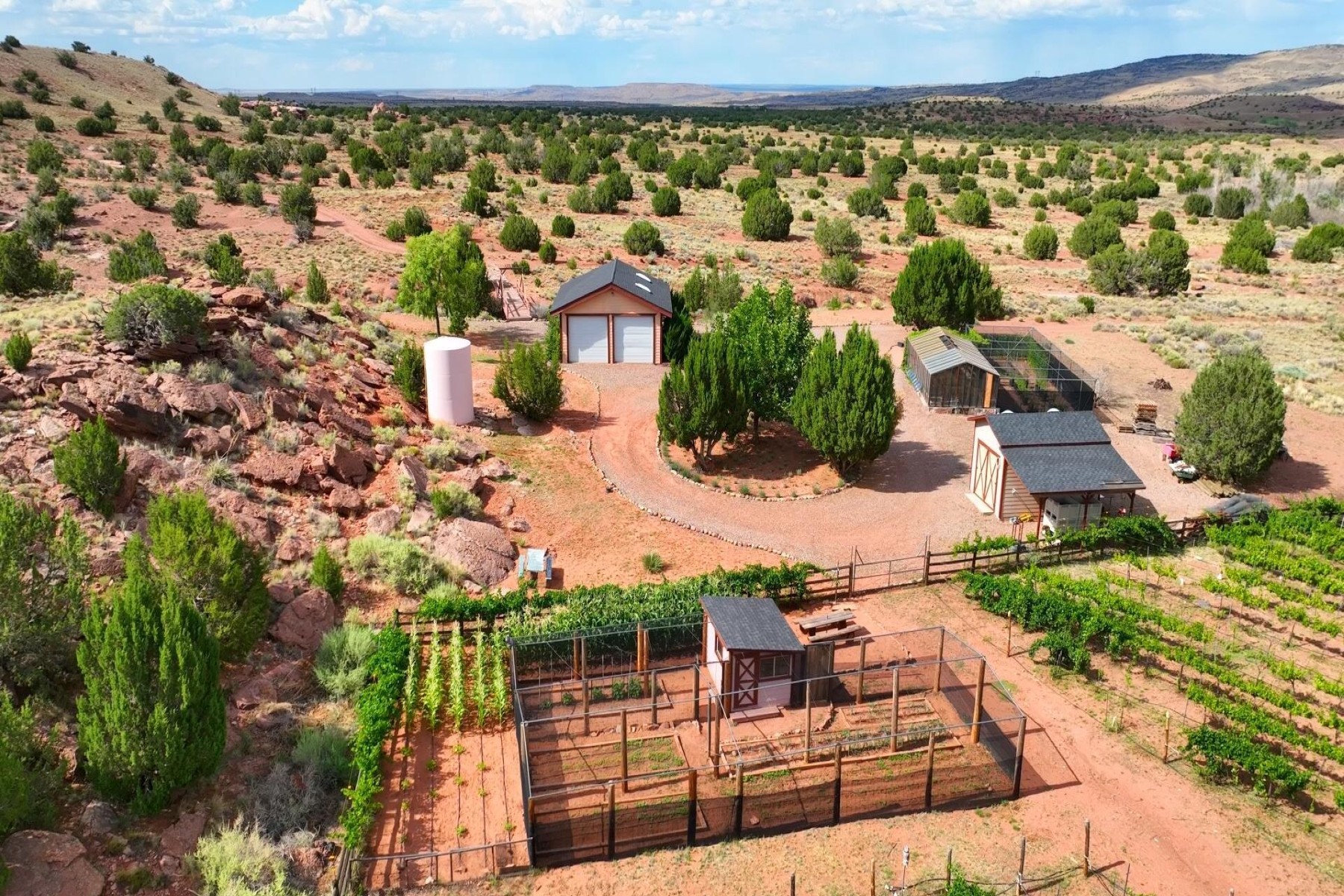  14 County Road 5309, Concho, AZ 85924 - 物件實景