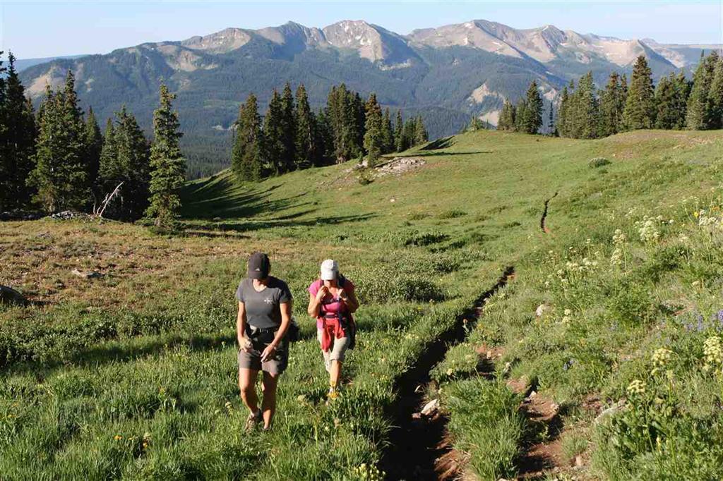 235 Lupine Dr., Crested Butte, Colorado, 81224, United States, ,Land,For Sale,235 Lupine Dr.,1431090
