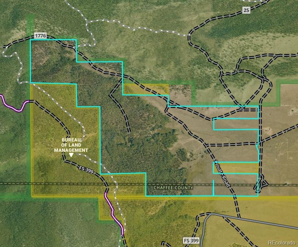 Twin Lakes, Colorado, 81251, United States, ,Land,For Sale,1975284
