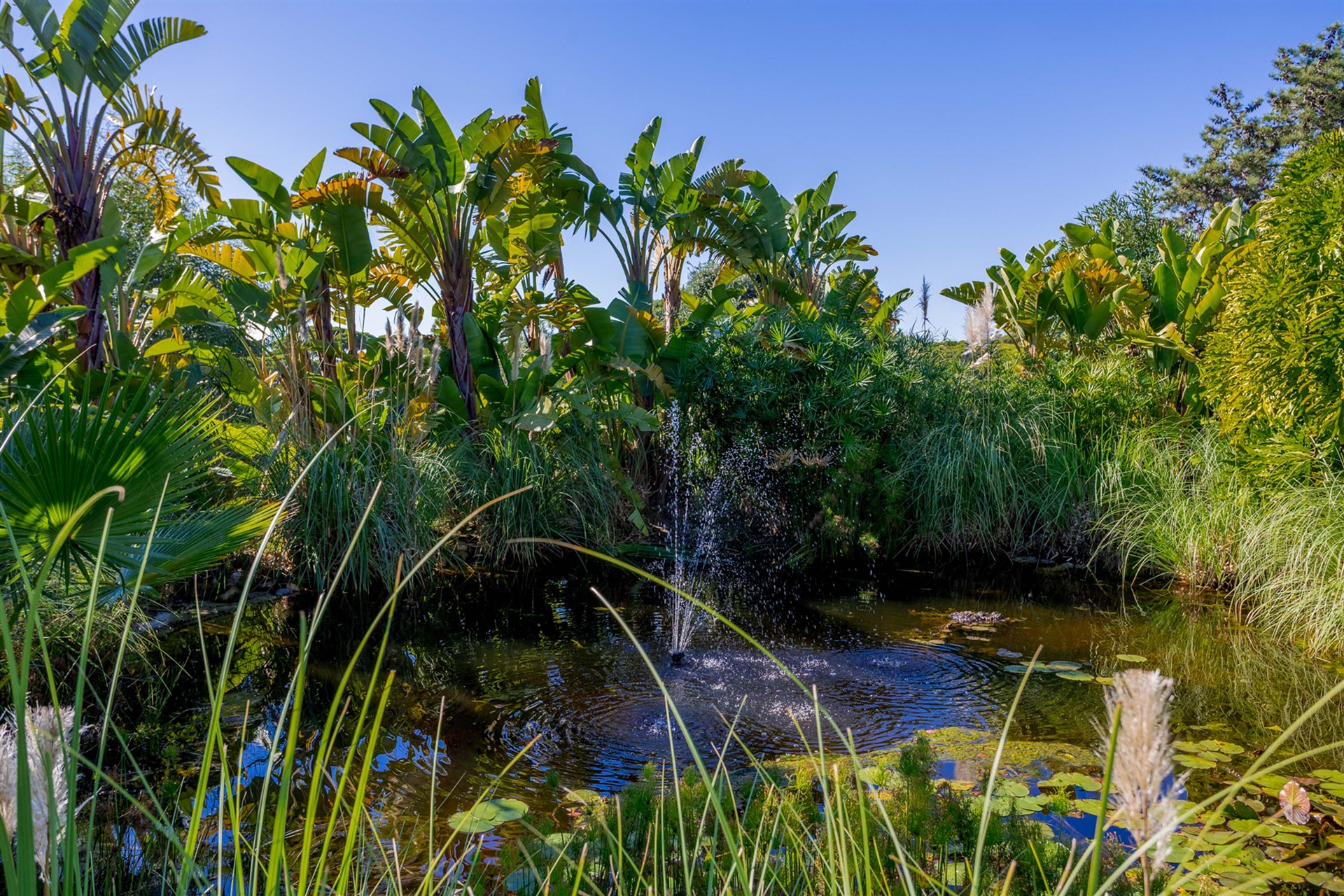  Detached house, 5 bedrooms, for Sale - 物件實景